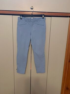 Gap  Ankle Powder Blue Slim Fit Pants size 10 regular